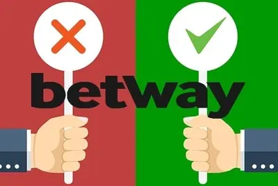 ايجابيات وسلبيات بيتواي