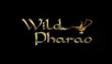 مكافأة كازينو Wild Pharaoh اون لاين