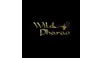 مكافأة كازينو Wild Pharaoh اون لاين